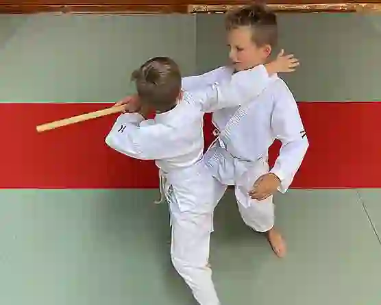 Tai Jitsu - MPT la Mède